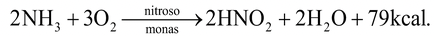 Animal Nutrition